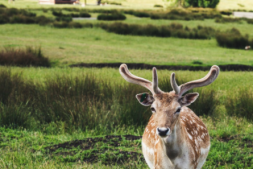 浦发|双11消费达标抽奖