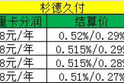 杉德久付代理政策
