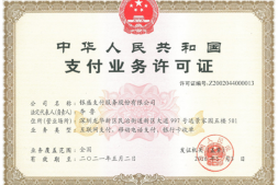 银盛通介绍+教程(停售)