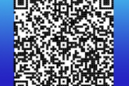 新闪代理政策+代理教程