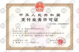 银码付-支付宝微信大额通道