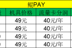 鲲PAY代理政策